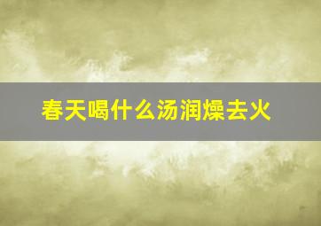 春天喝什么汤润燥去火