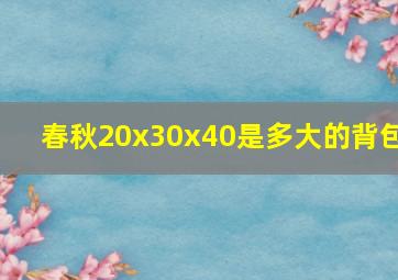 春秋20x30x40是多大的背包