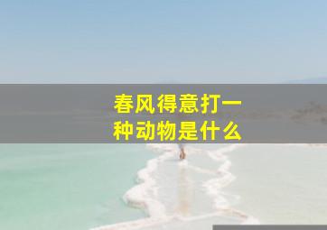 春风得意打一种动物是什么