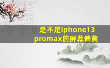 是不是iphone13promax的屏幕偏黄