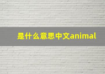 是什么意思中文animal