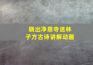 晓出净慈寺送林子方古诗讲解动画