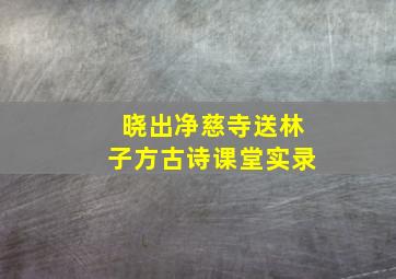 晓出净慈寺送林子方古诗课堂实录