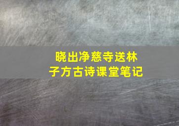 晓出净慈寺送林子方古诗课堂笔记