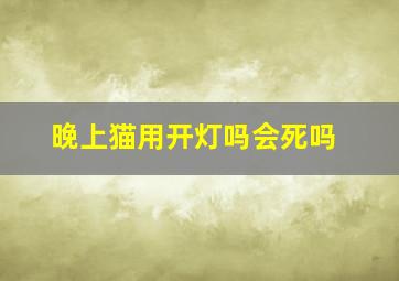 晚上猫用开灯吗会死吗