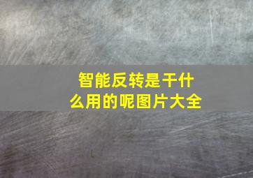 智能反转是干什么用的呢图片大全