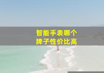 智能手表哪个牌子性价比高