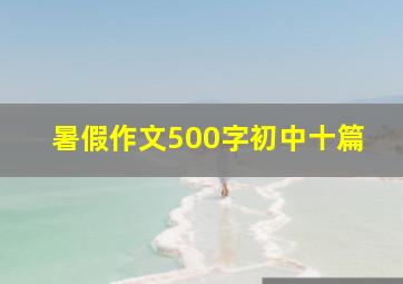 暑假作文500字初中十篇