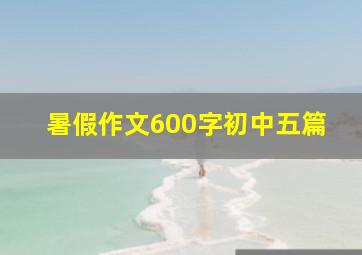 暑假作文600字初中五篇