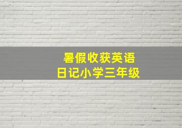 暑假收获英语日记小学三年级