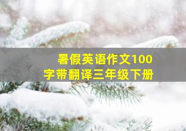 暑假英语作文100字带翻译三年级下册