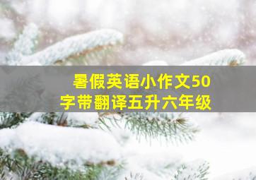 暑假英语小作文50字带翻译五升六年级