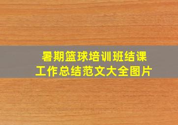 暑期篮球培训班结课工作总结范文大全图片