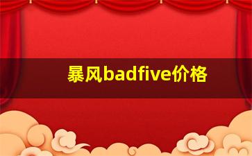 暴风badfive价格