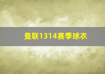 曼联1314赛季球衣