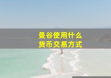 曼谷使用什么货币交易方式