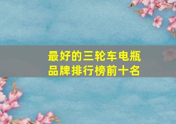 最好的三轮车电瓶品牌排行榜前十名