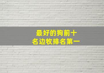 最好的狗前十名边牧排名第一