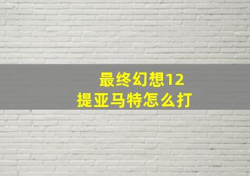 最终幻想12提亚马特怎么打