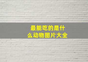 最能吃的是什么动物图片大全