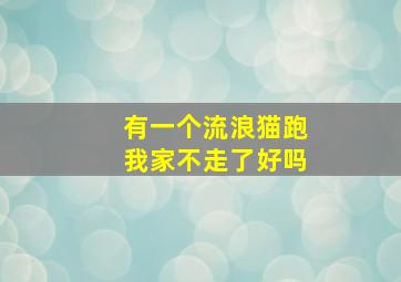 有一个流浪猫跑我家不走了好吗