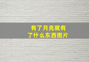 有了月亮就有了什么东西图片