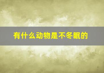 有什么动物是不冬眠的