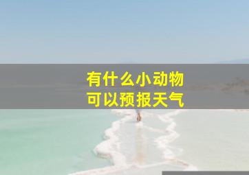 有什么小动物可以预报天气