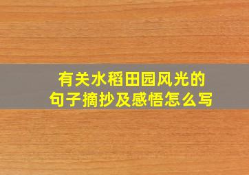 有关水稻田园风光的句子摘抄及感悟怎么写