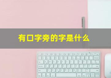 有口字旁的字是什么