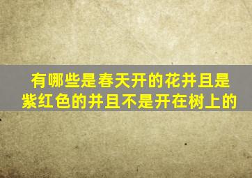 有哪些是春天开的花并且是紫红色的并且不是开在树上的