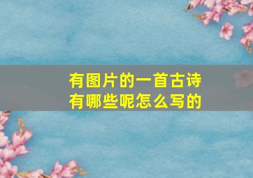 有图片的一首古诗有哪些呢怎么写的