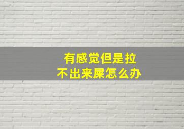 有感觉但是拉不出来屎怎么办