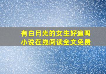 有白月光的女生好追吗小说在线阅读全文免费