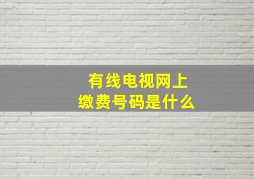 有线电视网上缴费号码是什么