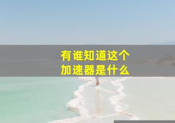 有谁知道这个加速器是什么