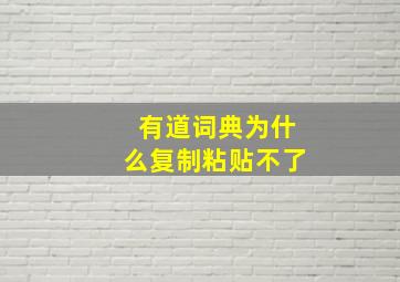 有道词典为什么复制粘贴不了