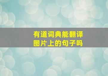 有道词典能翻译图片上的句子吗