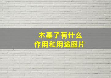 木基子有什么作用和用途图片