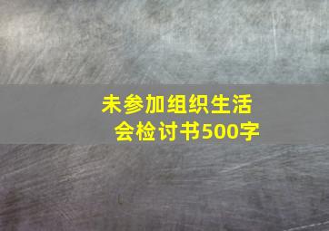 未参加组织生活会检讨书500字