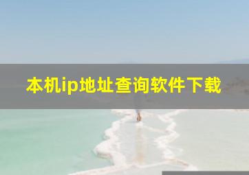 本机ip地址查询软件下载