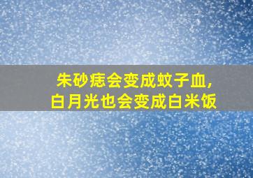 朱砂痣会变成蚊子血,白月光也会变成白米饭