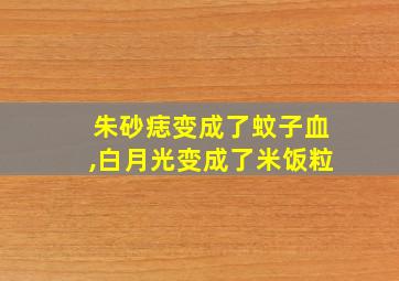 朱砂痣变成了蚊子血,白月光变成了米饭粒