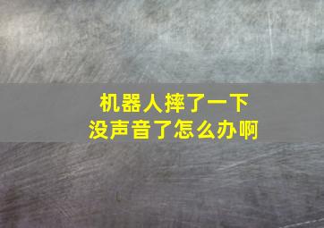 机器人摔了一下没声音了怎么办啊