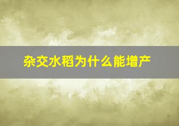 杂交水稻为什么能增产