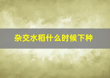 杂交水稻什么时候下种