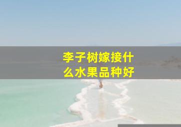 李子树嫁接什么水果品种好