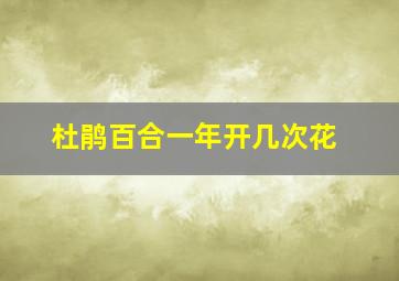 杜鹃百合一年开几次花