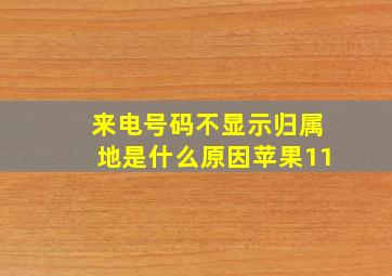 来电号码不显示归属地是什么原因苹果11