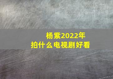 杨紫2022年拍什么电视剧好看